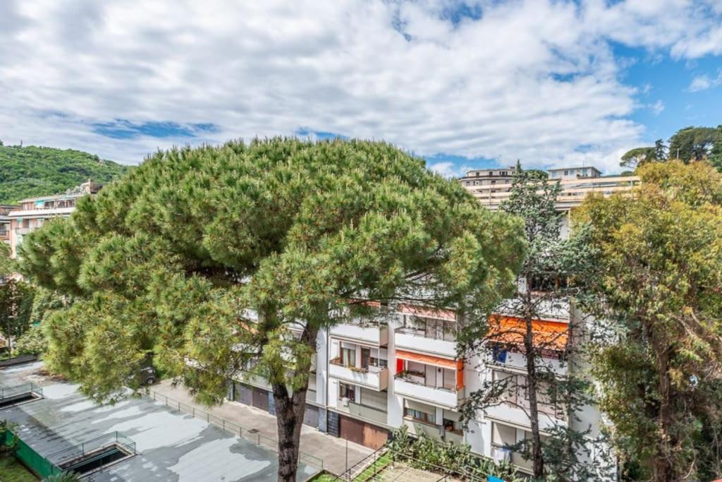 Apartment Ambra Marina, La Casa Tra I Pini A Rapallo! Rapallo