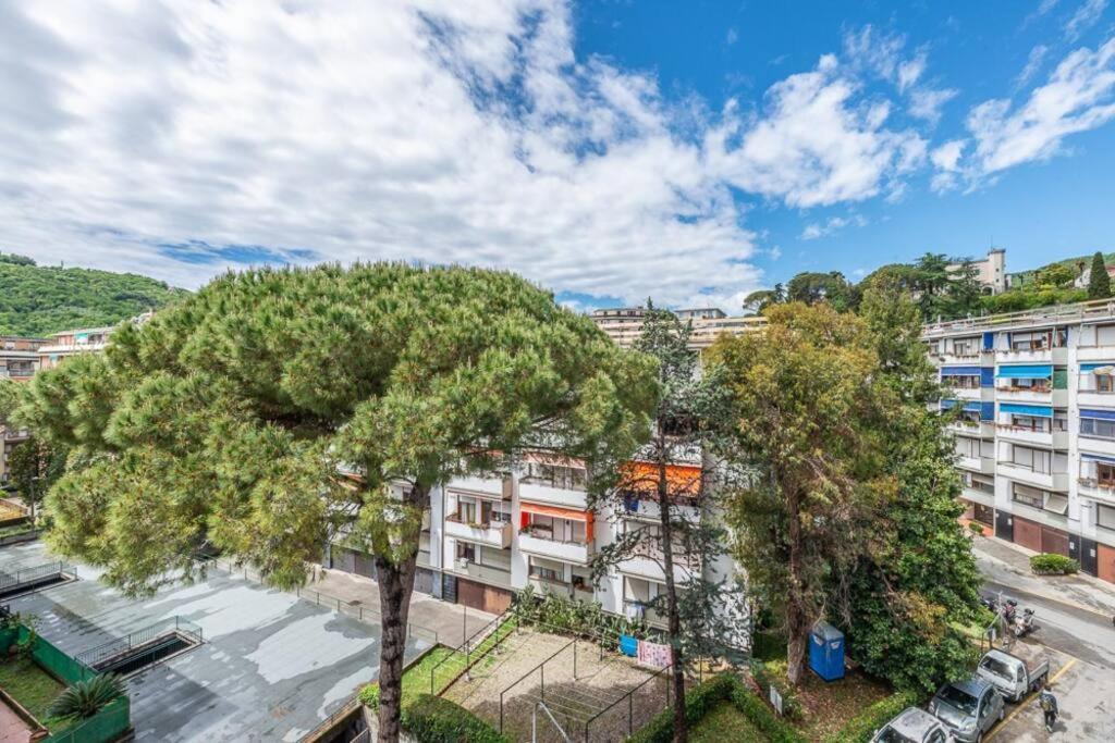 Ambra Marina, La Casa Tra I Pini A Rapallo! *