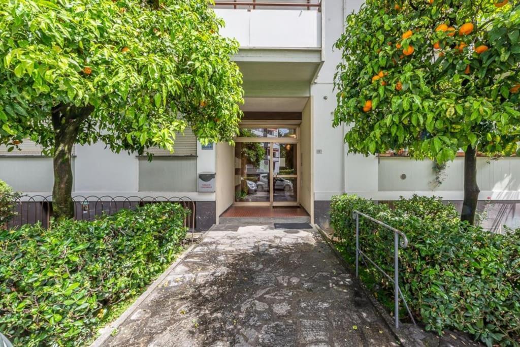 Ambra Marina, La Casa Tra I Pini A Rapallo!